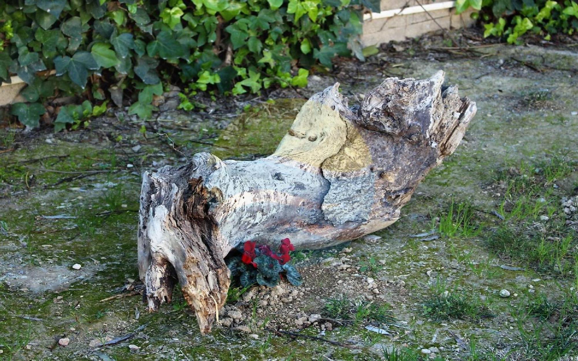 הוילה סנט ג'אומה ד'נבג'ה Barraca Tipica Del Delta, Con Piscina, Jardin Y Barbacoa - Deltavacaciones מראה חיצוני תמונה